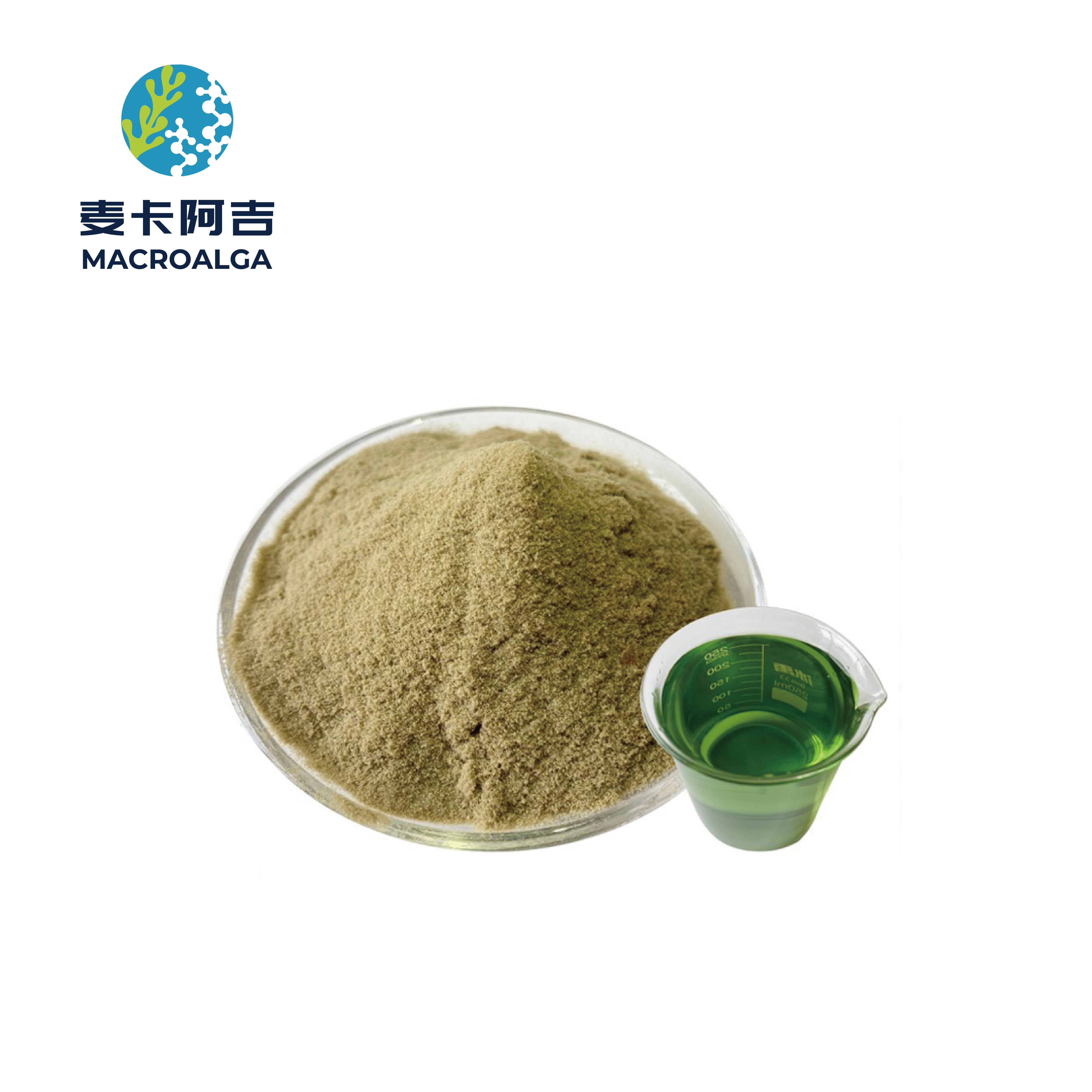Reliable Seaweed Fertilizer from the Original Manufacturer: What Sets It Apart