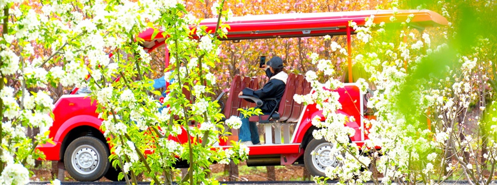 Yushui Village Visit Discovering China's Countryside Charm